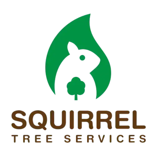 A green squirrel logo with a tree on its chest sits above "SQUIRREL TREE SERVICES" in brown text.
