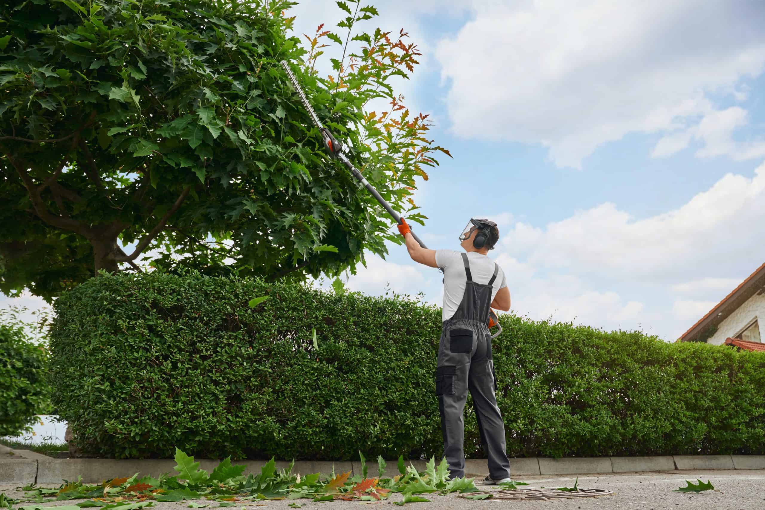 A person in overalls trims tree branches using a pole saw, offering tree services in Kansas City Metropolitan Area area.