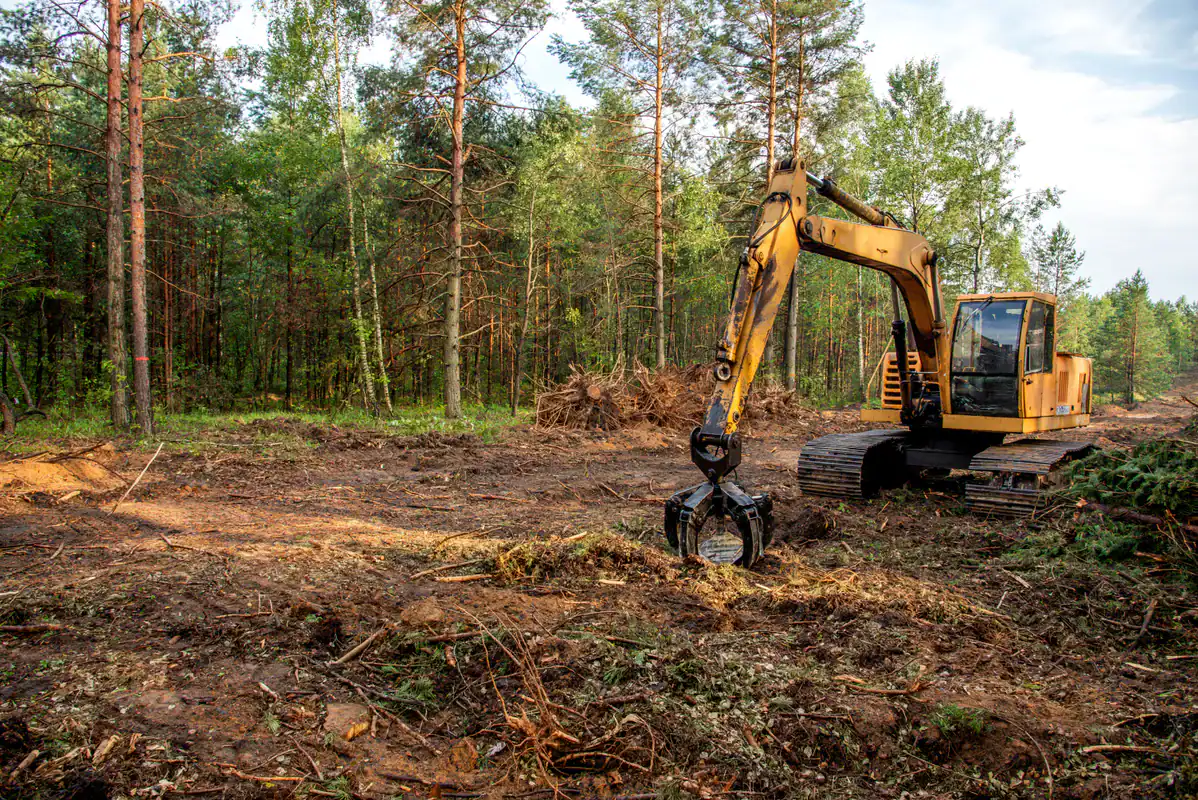 A yellow excavator removes trees from a forest section&mdash;expert tree removal in Kansas City area, MO.