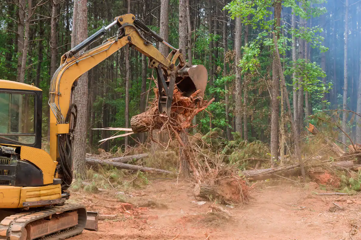 A yellow excavator lifts a large stump, showing expert tree removal in Kansas City Metropolitan Area.