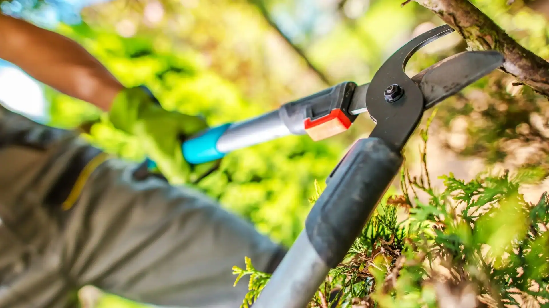 A person uses pruning shears on tree branches, representing professional tree services in Kansas City.