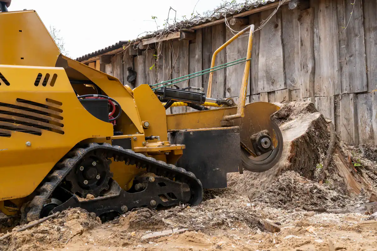 A yellow stump grinder operates outdoors on a tree stump, showing expert stump grinding in Kansas City.