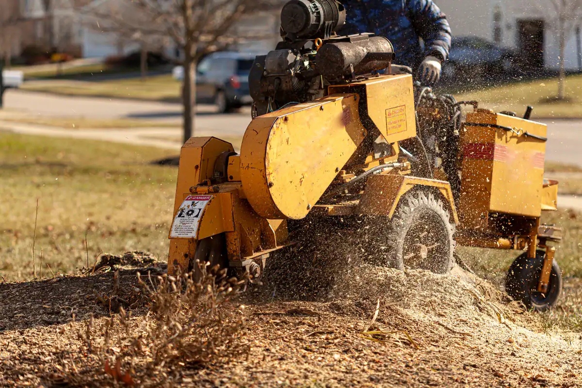 A person operates a yellow stump grinder on a sunny, grassy yard for Tree Services Kansas City Metropolitan Area.