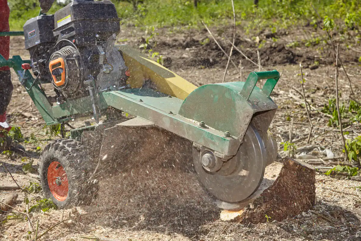A stump grinder works in the Kansas City Metropolitan Area, grinding a stump and spraying wood chips.