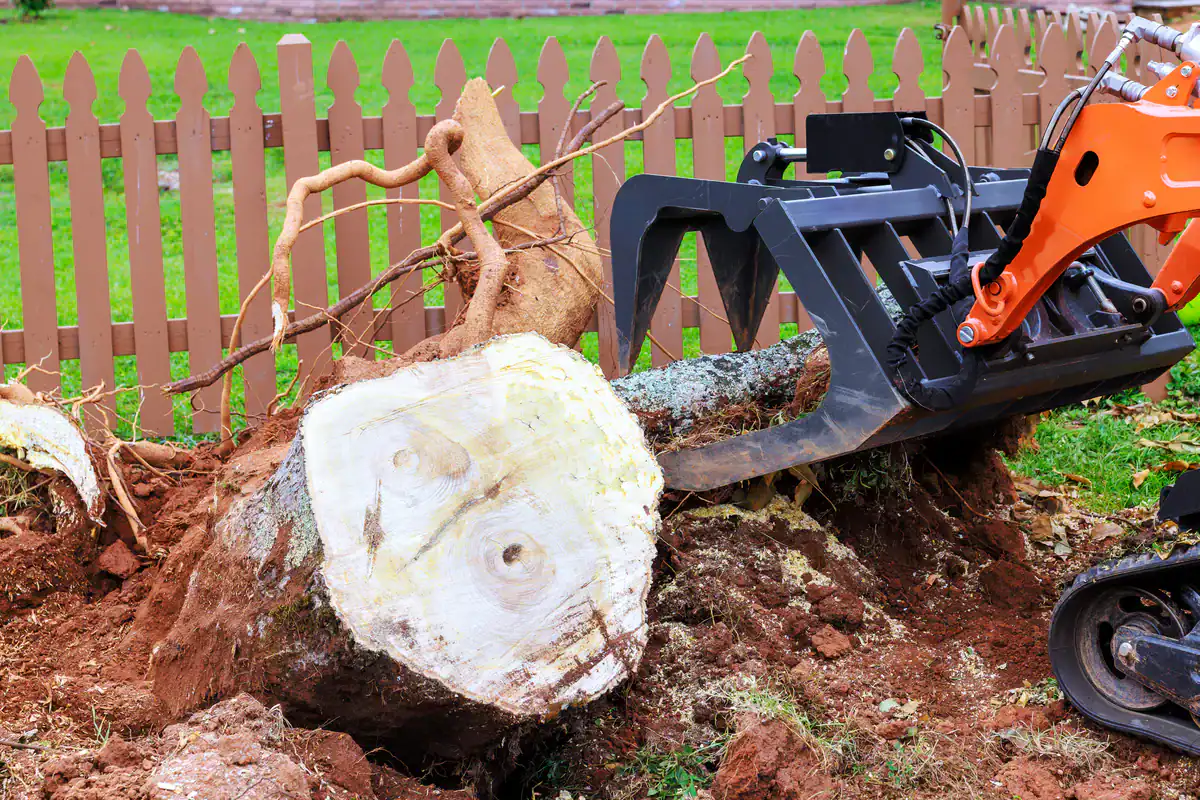 A tractor attachment lifts a tree stump for removal near a broken wooden fence in Kansas City.