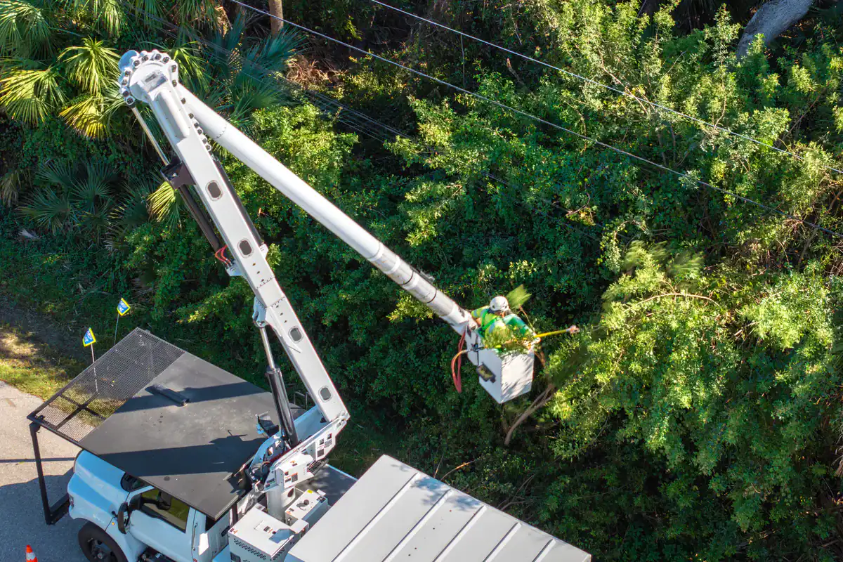 A worker trims branches from a bucket truck, providing expert tree services in the Kansas City area.
